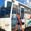bus simulator ultimate