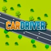 car driver