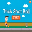 Trick Shot Ball Professional